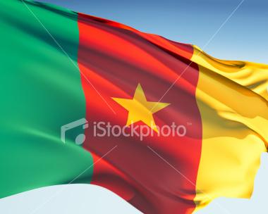 Flag of Cameroon